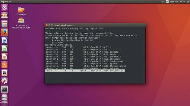 reanimwin4.jpg reanimwin4.jpg